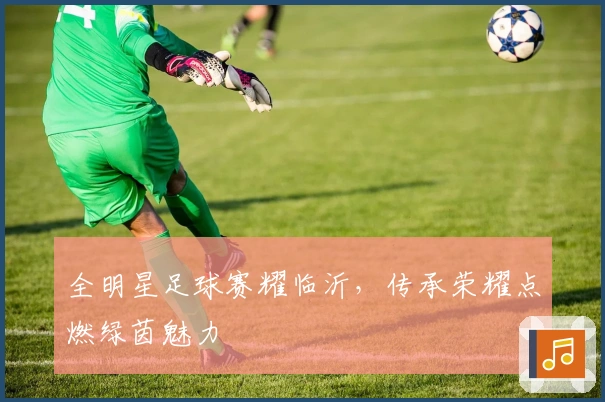 全明星足球赛耀临沂，传承荣耀点燃绿茵魅力
