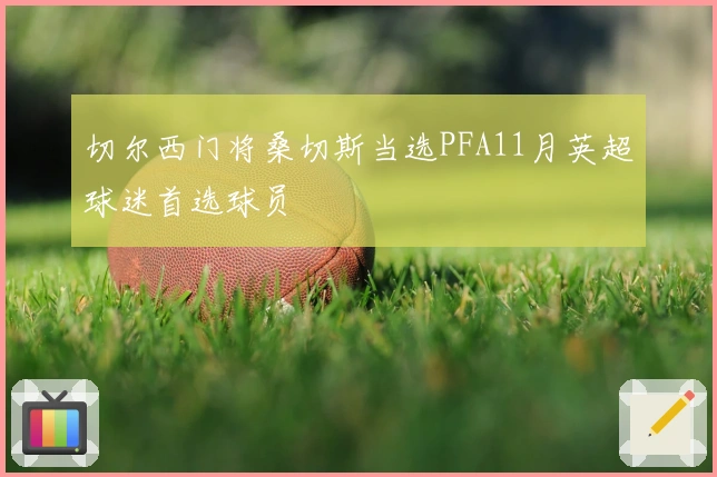 切尔西门将桑切斯当选PFA11月英超球迷首选球员